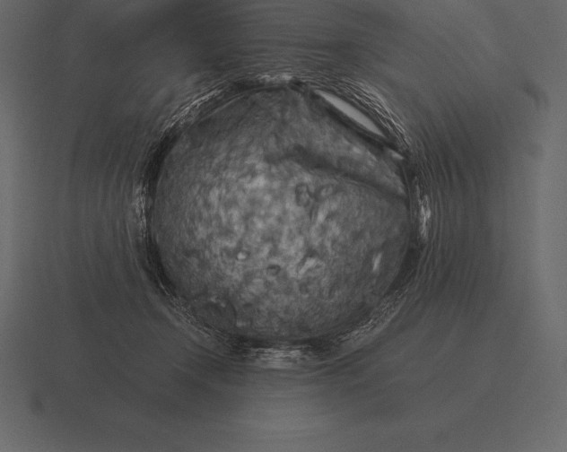 X0000116560366200912241619