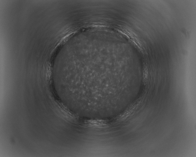 X0000116560367200912241619