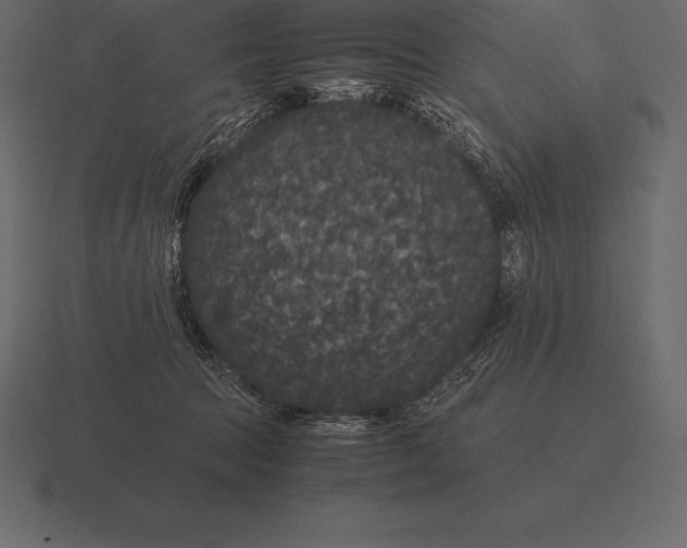 X0000116560369200912241619