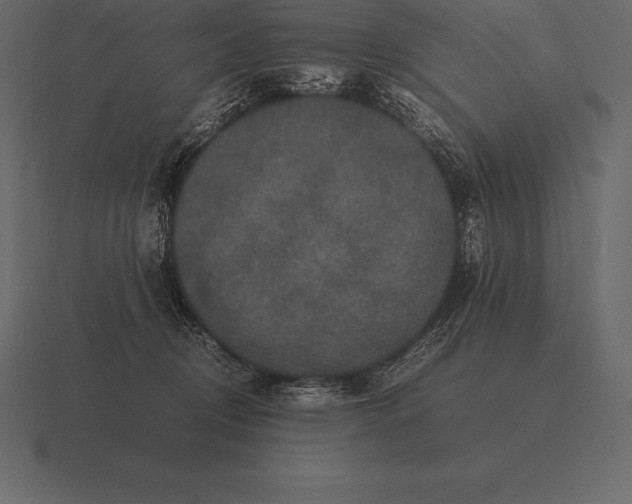 X0000116560370200912241619