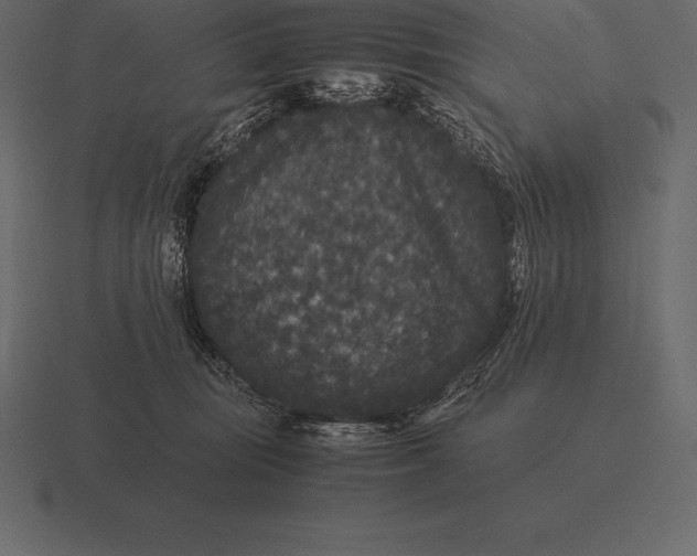 X0000116560371200912241619