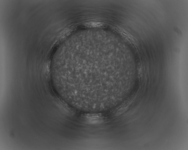 X0000116560373200912241619