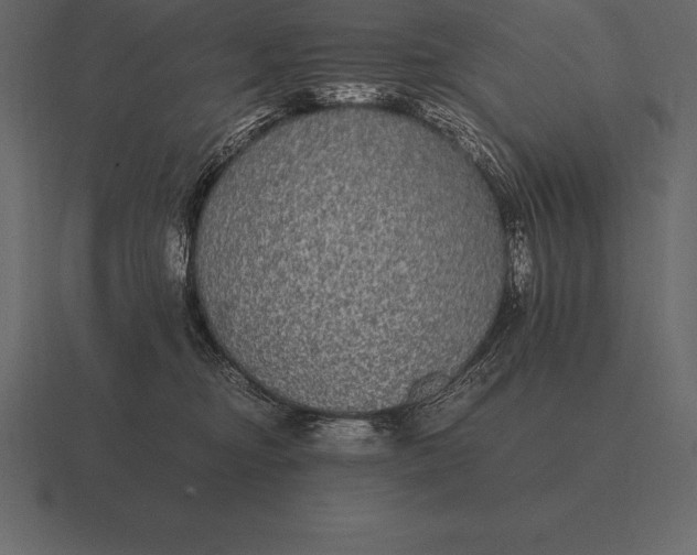 X0000116560374200912241619