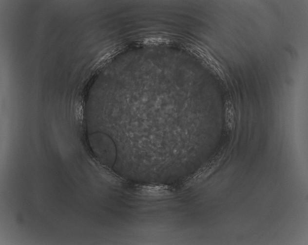 X0000116560375200912241619