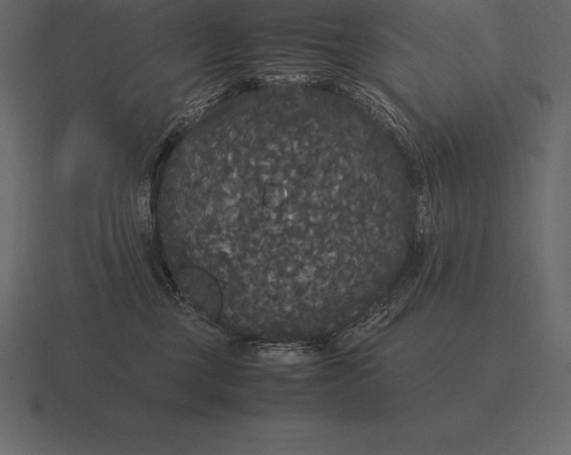 X0000116560377200912241619