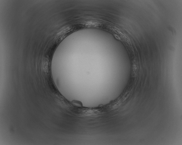 X0000116560379200912241619