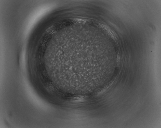 X0000116560381200912241619