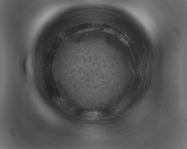 X0000116560383200912241619