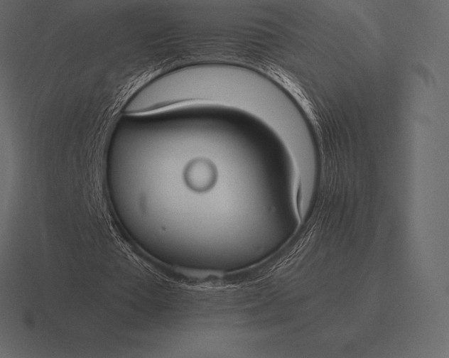 X0000116560385200912241619