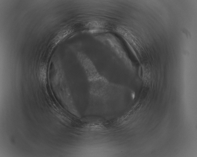 X0000116560386200912241619