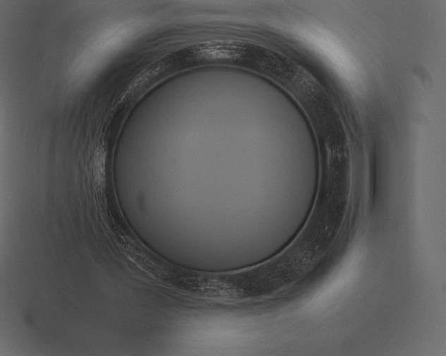 X0000116560387200912241619