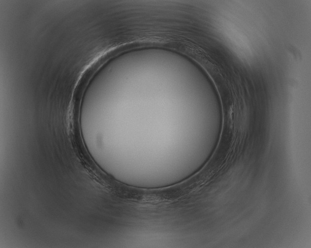 X0000116560388200912241619