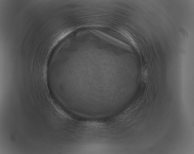 X0000116560389200912241619