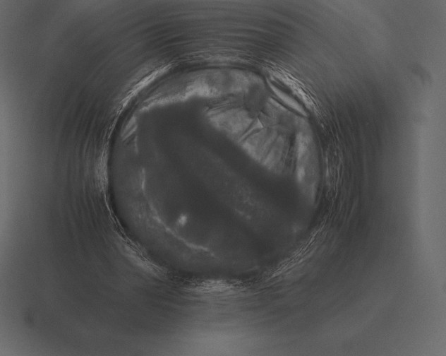 X0000116560390200912241619