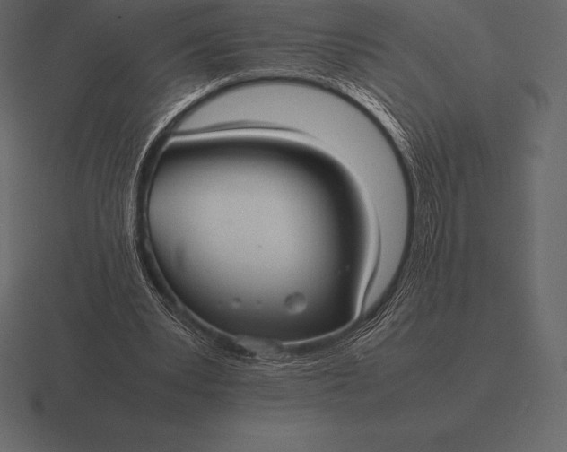 X0000116560391200912241619