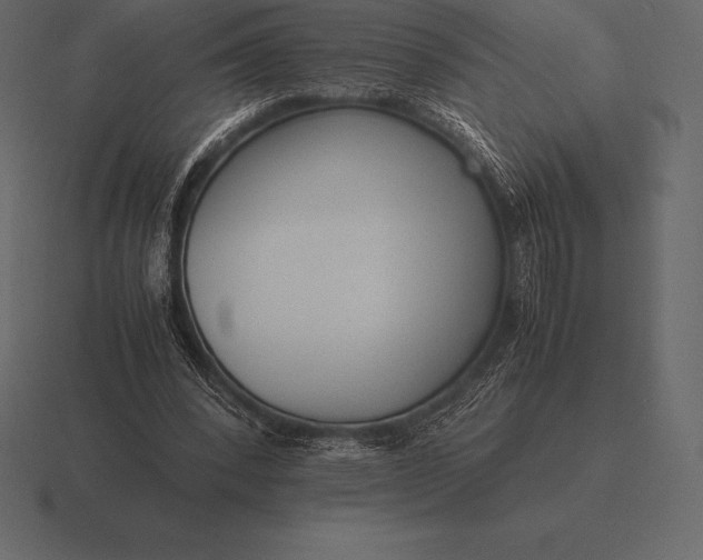 X0000116560392200912241619