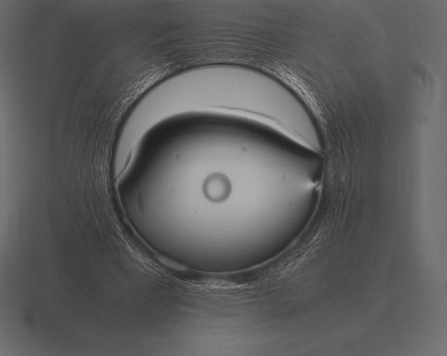 X0000116560393200912241619