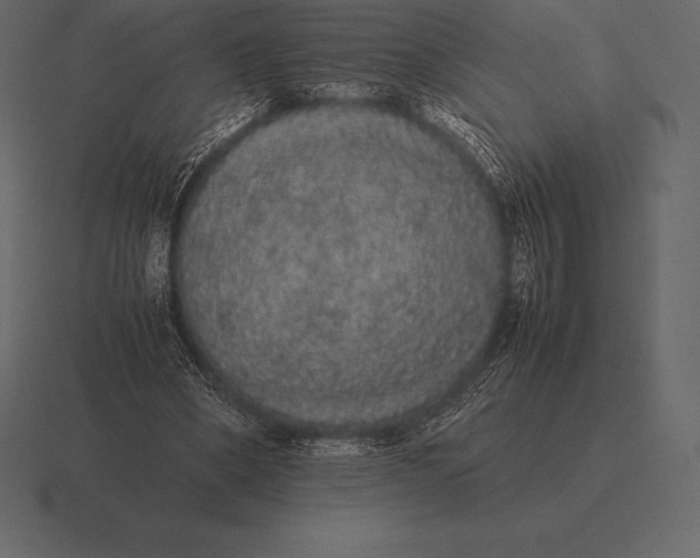 X0000116560394200912241619