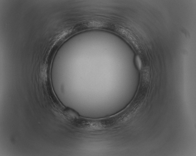 X0000116560395200912241619