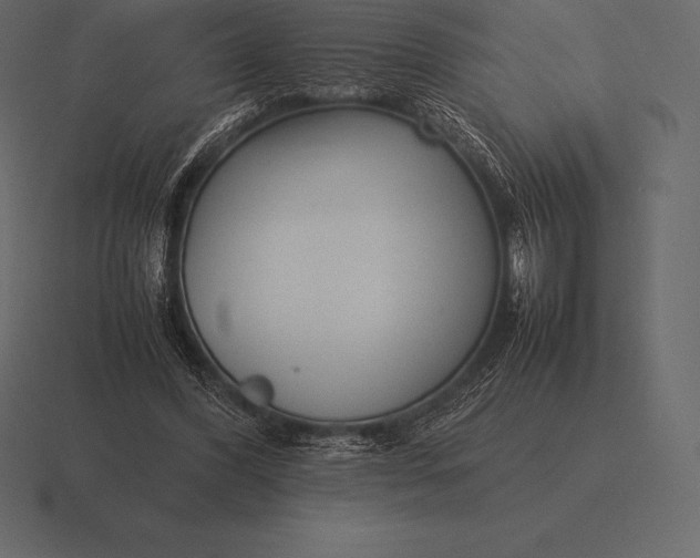 X0000116560396200912241619