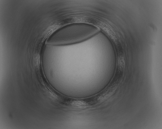 X0000116560397200912241619