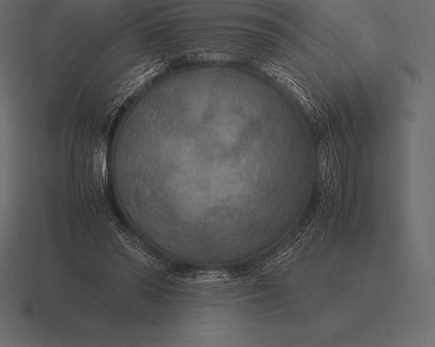 X0000116560398200912241619