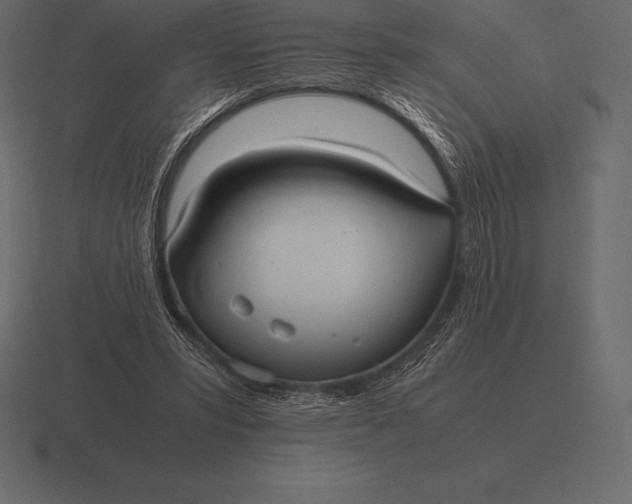 X0000116560399200912241619