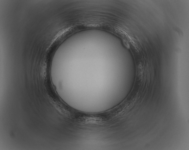 X0000116560400200912241619