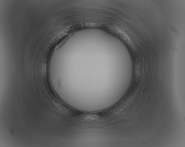 X0000116560401200912241619