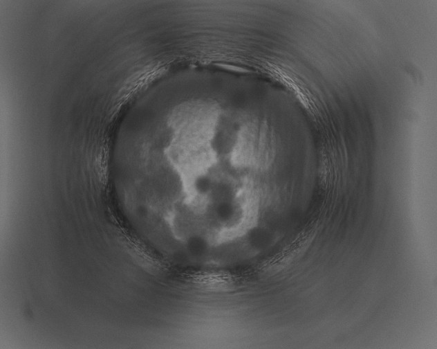 X0000116560402200912241619