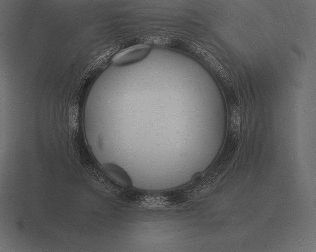 X0000116560403200912241619