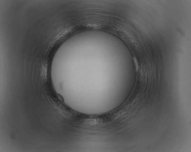 X0000116560404200912241619