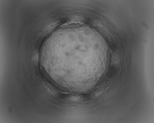 X0000116560405200912241619