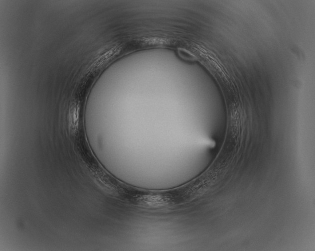 X0000116560406200912241619