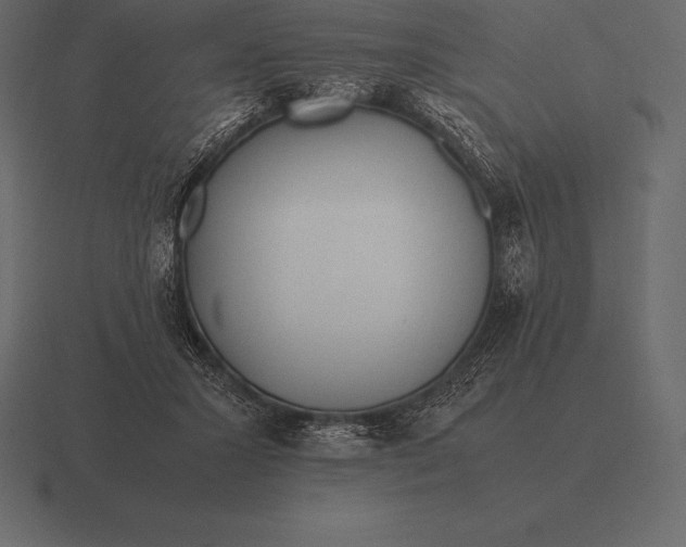 X0000116560407200912241618