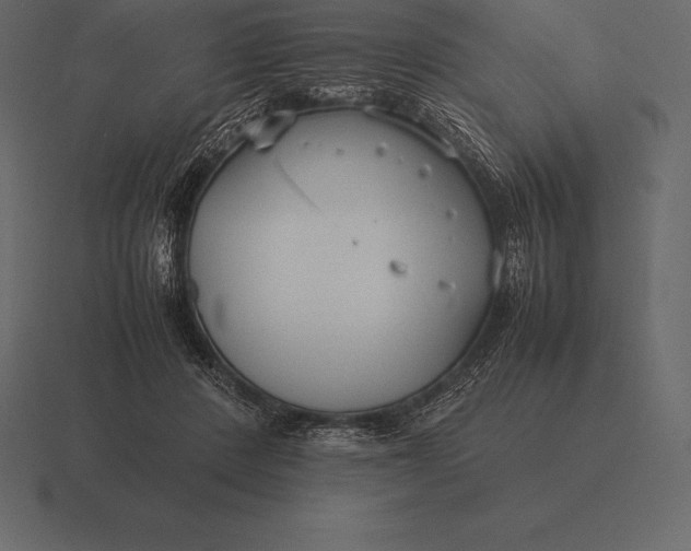 X0000116560408200912241618