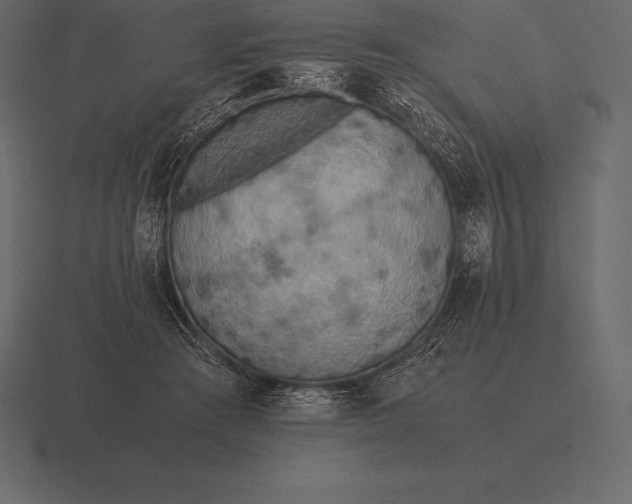 X0000116560409200912241618