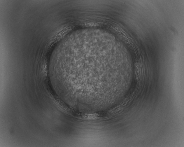 X0000116560410200912241618