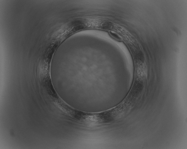 X0000116560411200912241618