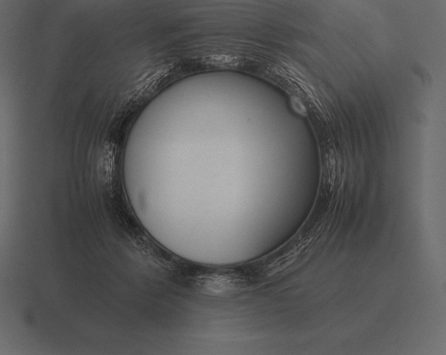 X0000116560412200912241618