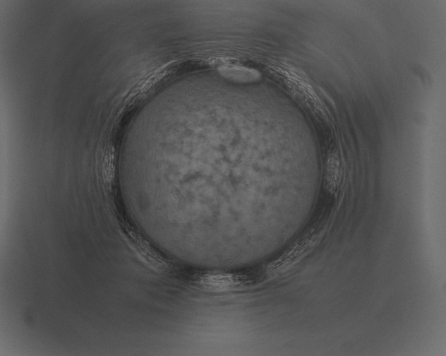 X0000116560413200912241618