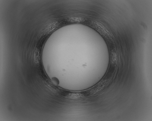 X0000116560414200912241618