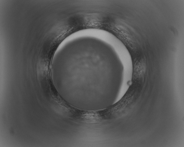 X0000116560415200912241618