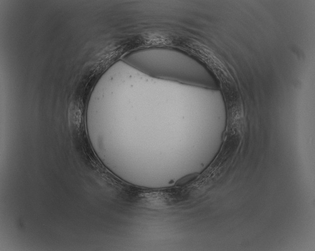 X0000116560417200912241618