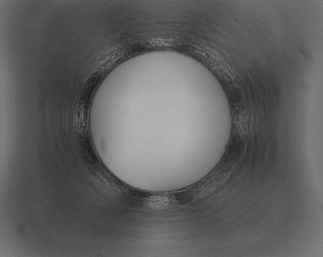 X0000116560418200912241618