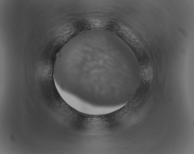 X0000116560419200912241618