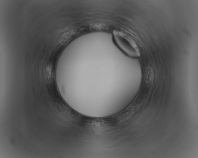 X0000116560420200912241618