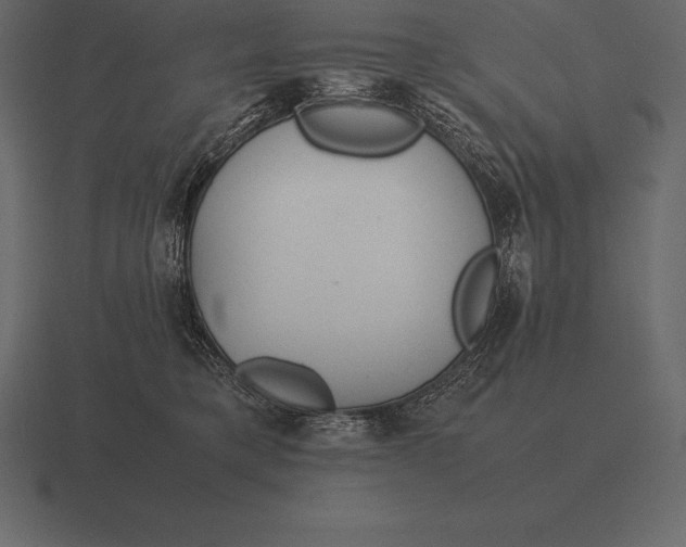 X0000116560421200912241618