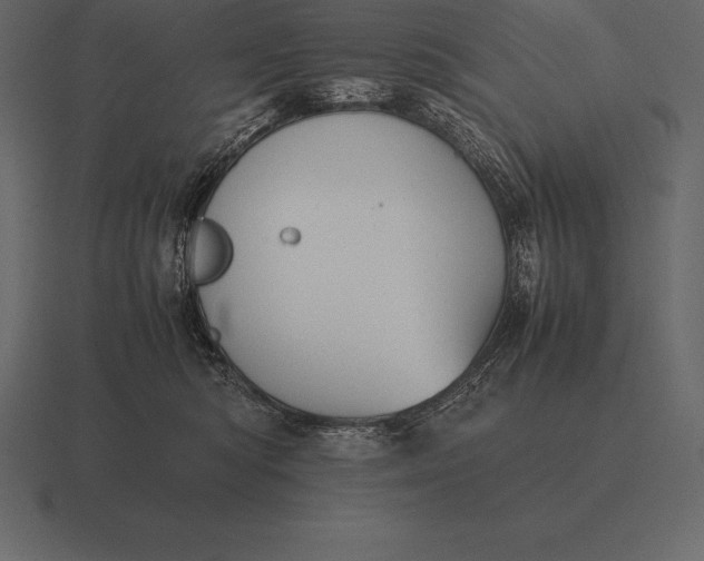 X0000116560422200912241618