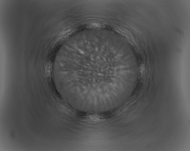 X0000116560423200912241618